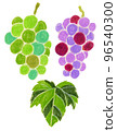 Hand drawn _ grape set 96540300