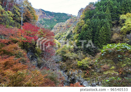 紅葉名勝“金倉大年溪流”/埼玉縣秩父市[秩父多摩甲刻國立公園] 96540533