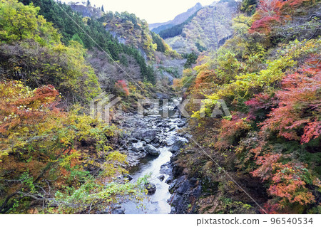 從越川橋/埼玉縣秩父市看到的荒川紅葉[秩父多摩甲殼國立公園] 96540534