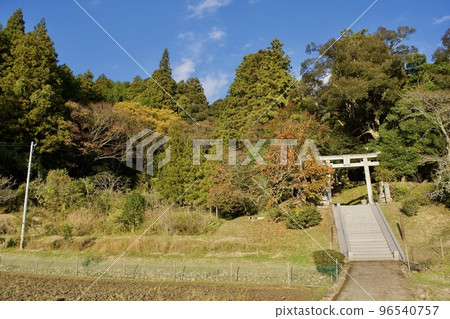 Rural landscape in autumn 96540757