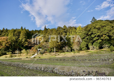 Rural landscape in autumn Rural landscape in autumn 96540763