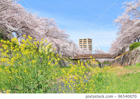 Yamazaki River Sakura 96540870