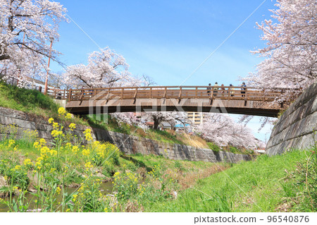 Yamazaki River Sakura 96540876