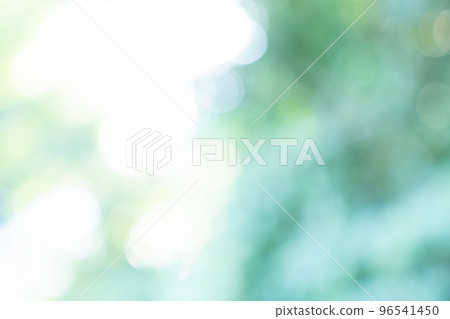 Fresh green, background, green, leaf, nature, landscape, blur, plant, sunlight filtering through foliage, fresh green image, image material for background synthesis 96541450