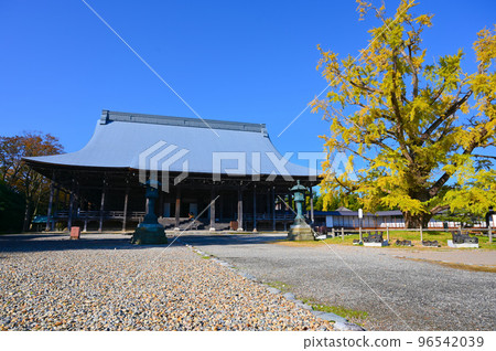 Shokoji Temple Main Hall Unfruitful Gingko Tree Takaoka City 96542039