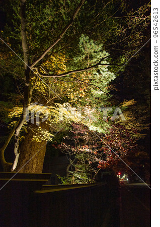 Illuminated Kakunodate Bukeyashiki Street at night 96542613