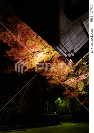 夜晚的角館武吉敷街,美麗的秋葉燈火通明 夜晚的角館武吉敷街,美麗的秋葉燈火通明 96542766