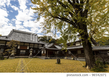 天佑寺的紅葉【長崎縣諫早市西小路町】 天佑寺的紅葉【長崎縣諫早市西小路町】 96542871