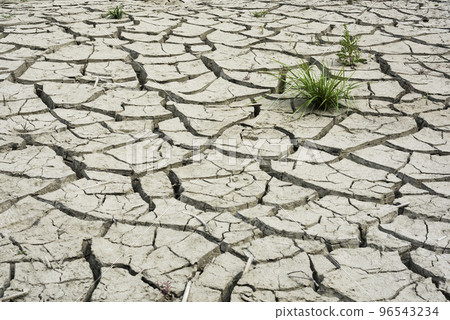 Dry and cracked ground texture as a background Dry and cracked ground texture as a background 96543234