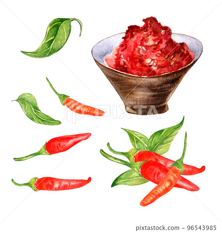 Composition of tabasco hot pepper watercolor illustration isolated on white. Composition of tabasco hot pepper watercolor illustration isolated on white. 96543985