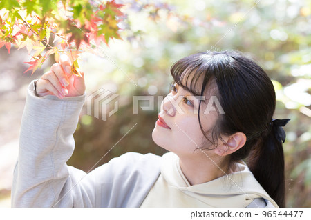 採摘開始變色的楓葉的女人 採摘開始變色的楓葉的女人 96544477