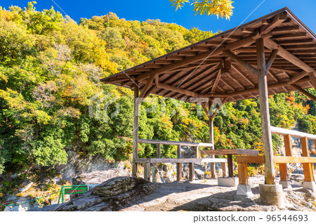 《埼玉縣》秋天的長瀞・紅葉石板路 96544693