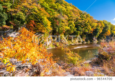 《Saitama Prefecture》Autumn Nagatoro・Autumn leaves rock pavement 96544700