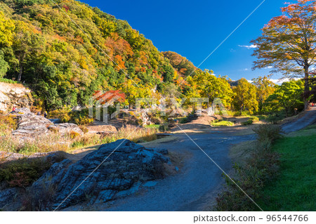 《埼玉縣》秋天的長瀞・紅葉石板路 96544766