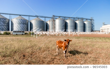 Grain elevator. Metal grain elevator in agricultural zone. Agriculture storage for harvest. Grain elevators on green nature background. Exterior of agricultural factory. Nobody. 96545003
