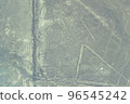 Nazca Geoglyph Spider 96545242