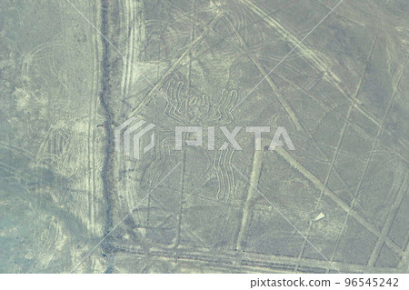 Nazca Geoglyph Spider 96545242