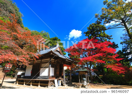 [Ehime Prefecture] Autumn leaves at Nishiyama Koryu-ji Temple in sunny weather 96546097