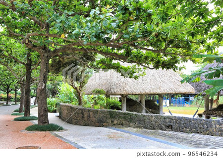 沖繩鄉土村（沖繩縣） 96546234