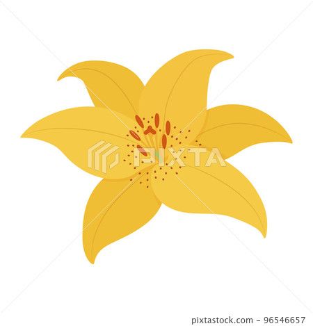 百合花圖 96546657