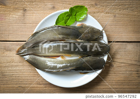 catfish on plate, fresh raw catfish freshwater fish, catfish for cooking food, fish with ingredients herb for hot and sour soup on wooden background catfish on plate, fresh raw catfish freshwater fish, catfish for cooking food, fish with ingredients herb for hot and sour soup on wooden background 96547292
