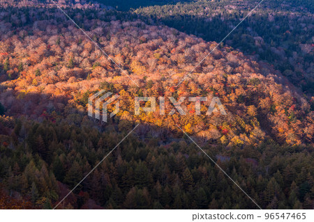 《Fukushima Prefecture》Autumn Bandai Azuma Skyline/Mountains of autumn leaves 96547465