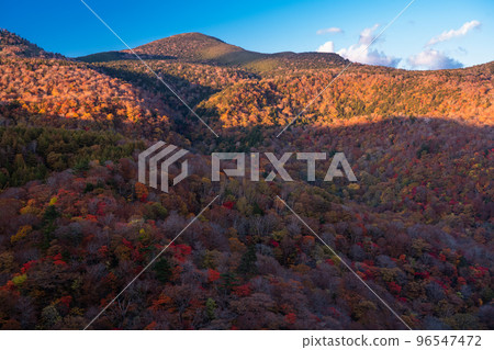 《福島縣》秋季萬代東天際線/紅葉之山 《福島縣》秋季萬代東天際線/紅葉之山 96547472