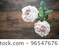 淺粉色玫瑰 96547676