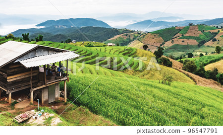 landscape of Rice terrace at Ban pa bong piang in Chiang mai Thailand landscape of Rice terrace at Ban pa bong piang in Chiang mai Thailand 96547791