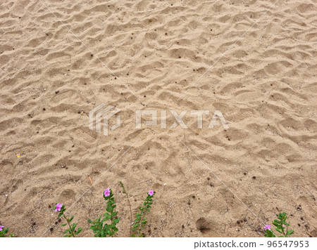 Sandy beach 96547953