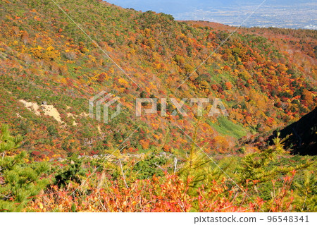 Nihonmatsu City, Fukushima Prefecture Autumn leaves view from Mt. Adatara mountain trail towards Tetsuzan 96548341