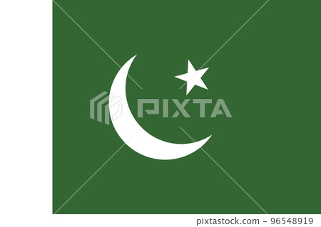 巴基斯坦國旗 巴基斯坦國旗 96548919
