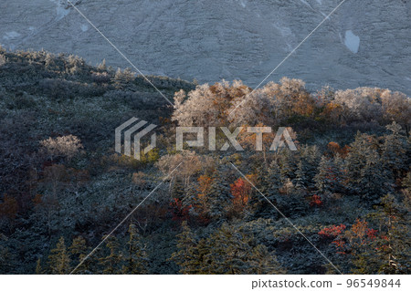 [Kamifurano Town, Hokkaido] Snow and Autumn Leaves 96549844