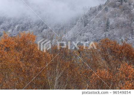 【北海道上富良野町】雪山、霧與紅葉 【北海道上富良野町】雪山、霧與紅葉 96549854