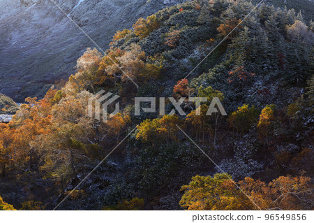[北海道美瑛町]山間的紅葉 96549856