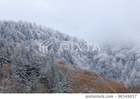 【北海道上富良野町】雪山和霧 96549857