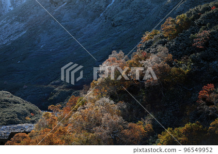 [北海道美瑛町]山間的紅葉 96549952