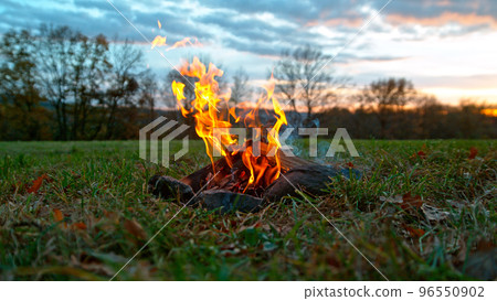 A Bonfire Burning in the Forest Meadow During Sunset. Slowmotion of Fireplace in Nature. 96550902