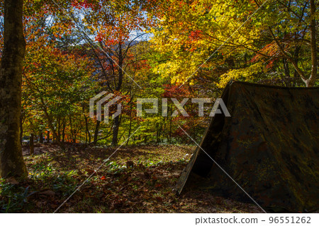 Autumn Leaves Camp in Hiroshima Prefectural Forest (end of October 2022) Autumn Leaves Camp in Hiroshima Prefectural Forest (end of October 2022) 96551262