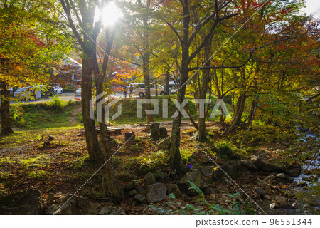 Autumn leaves around Hiroshima Prefectural Forest (end of October 2022) Autumn leaves around Hiroshima Prefectural Forest (end of October 2022) 96551344