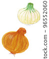 Hand drawn with a gentle atmosphere _ onion 96552060