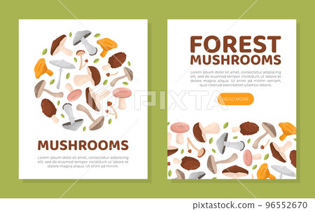 Forest mushrooms mobile app and card templates set. Mushrooms web banner, flyer template set cartoon vector 96552670