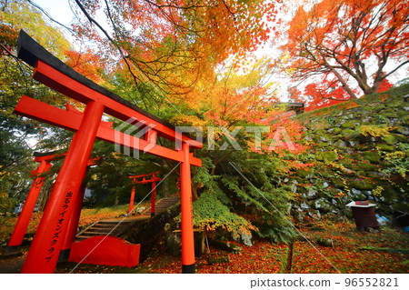 Torii I and autumn leaves of Izushi Castle Ruins Torii I and autumn leaves of Izushi Castle Ruins 96552821