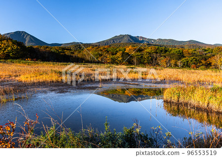 [青森縣八甲田]秋葉十月田代平濕原 96553519