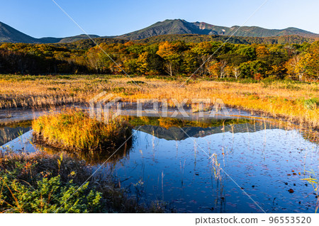 [青森縣八甲田]秋葉十月田代平濕原 96553520