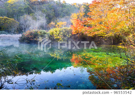 [Aomori Prefecture Hakkoda] Autumn in Tashirodaira Marsh during autumn leaves October 96553542