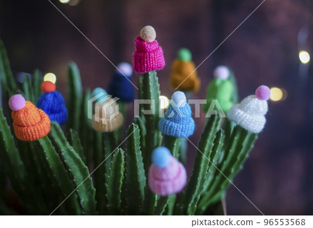 Multicolored woolen decorative hats with pompoms are worn on the stems of a live cactus in a pot at home. Funny and creative. Winter concept Multicolored woolen decorative hats with pompoms are worn on the stems of a live cactus in a pot at home. Funny and creative. Winter concept 96553568