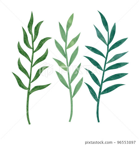 Set of green leaves elements. Watercolor floral illustrations. Collection botanical isolated on white background Set of green leaves elements. Watercolor floral illustrations. Collection botanical isolated on white background 96553897