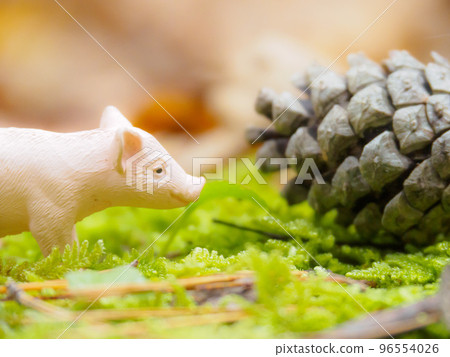 piglet and pine cone 96554026