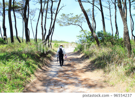 Image of a person heading for clam digging Image of a person heading for clam digging 96554237